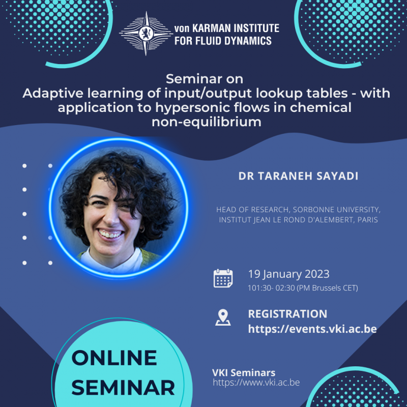 Online Seminar on Adaptive learning of input/output lookup tables - with application to hypersonic flows in chemical non-equilibrium by Dr Taraneh SAYADI