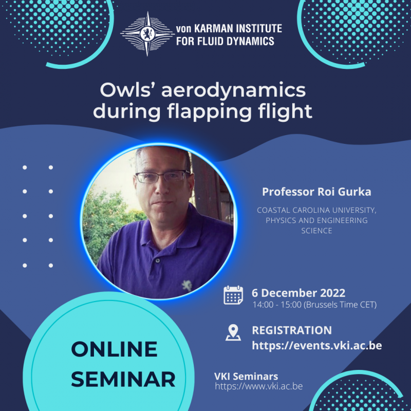 Online Seminar on Owls’ aerodynamics during flapping flight by Prof. Roi Gurka