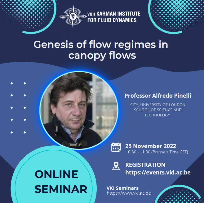 Online Seminar on Genesis of Flow Regimes in Canopy Flows by Prof. Alfredo Pinelli